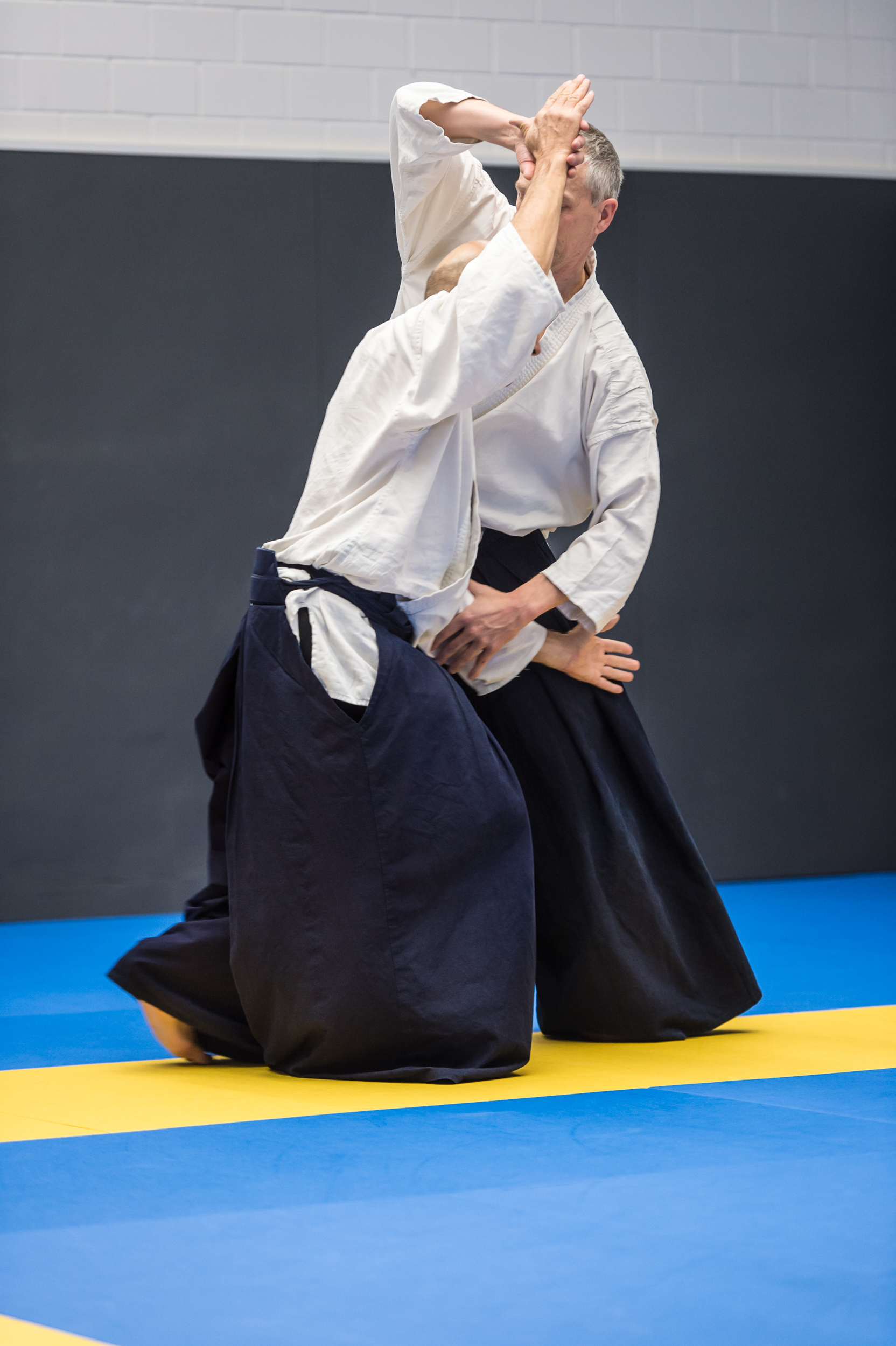 Aikido, I Encontro de AIKIDO acontece em Estância - Infonet - O ..., Aikido, is a modern japanese martial art that is split into many different styles, including shodokan aikido, yoshinkan, aikikai and ki aikido.